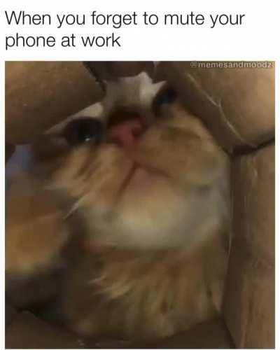 Always happens at the worst time