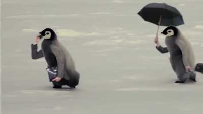 birdswitharms