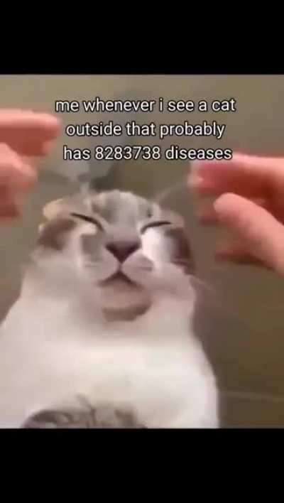 petting 100