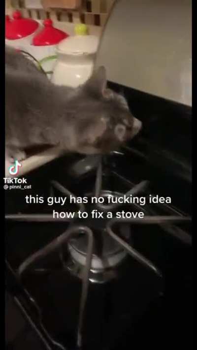 Stupid wunkus😡