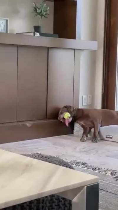 To stay awake