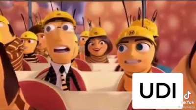udi popular