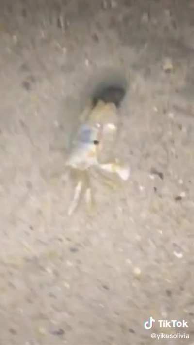 Why does he have a handful of sand?