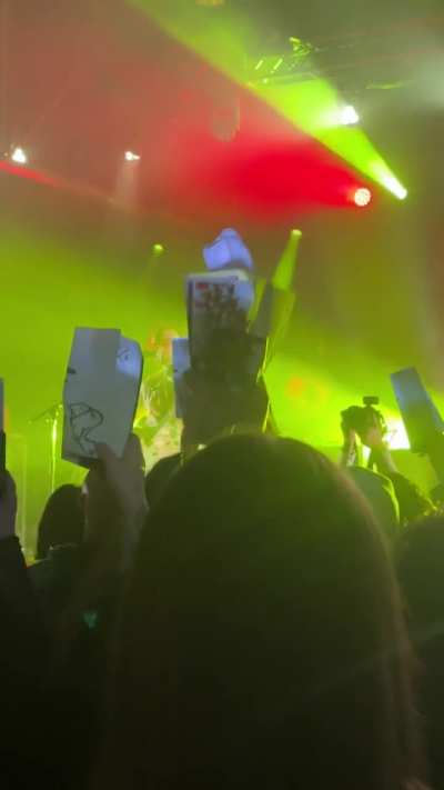 Yellow roses live 12/14 nashville