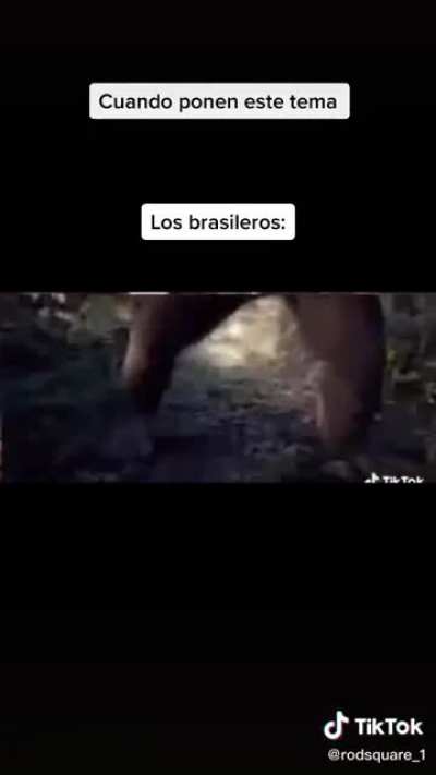 Rianse
