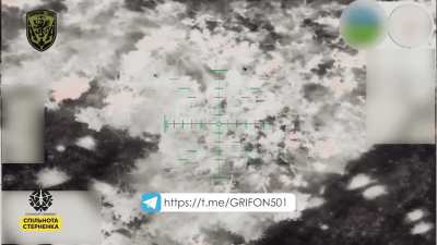 Heavy drone of the Grifon unit dropped an AT mine on the russian position