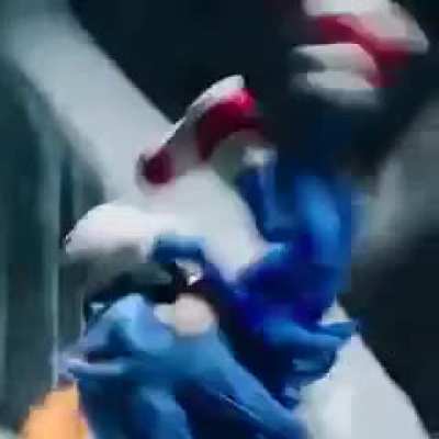 sonic terrorist