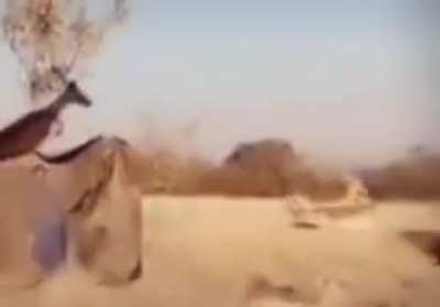 أكثر اللحظات حزينة في الرسوم المتحركة😱😱😱