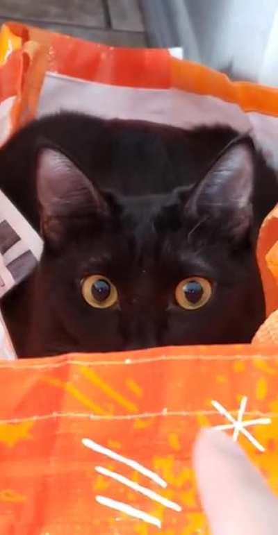 Target acquired