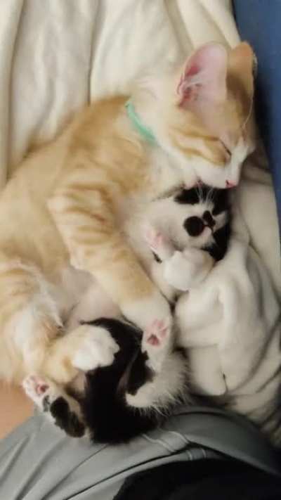 So Precious &hearts;️