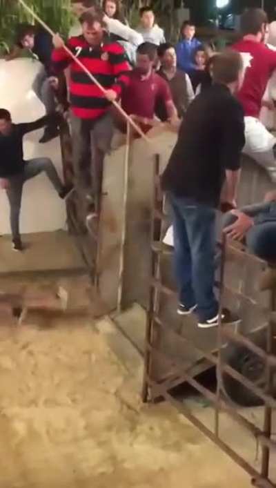 Don't poke the bull