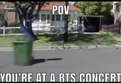 Omg bts concert