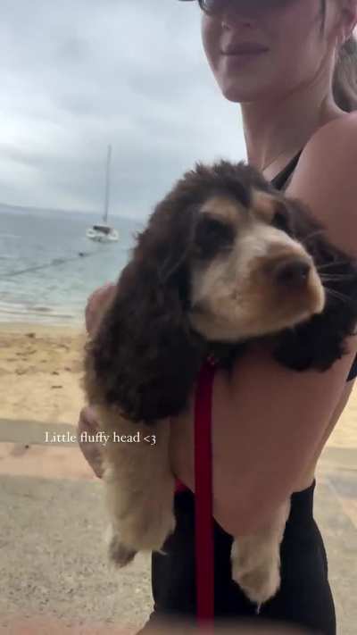 &lsquo;Little fluffy head&rsquo; | IG December 2024
