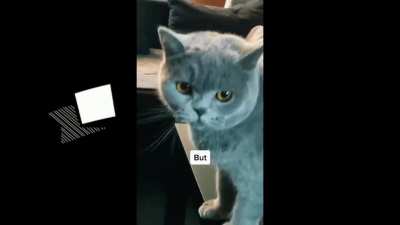 😱who is cat😱😳 [very scary]