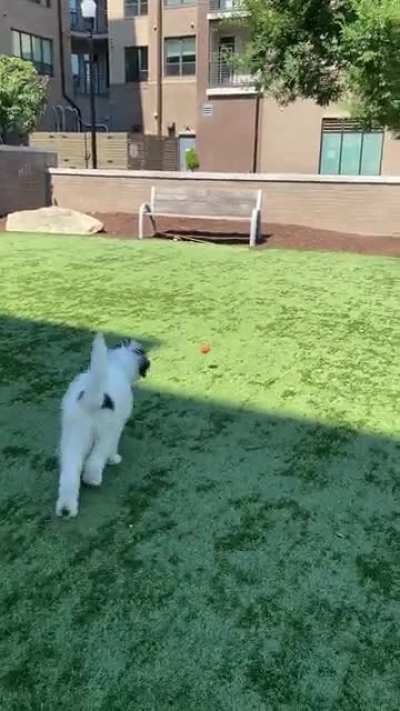 don&rsquo;t think he&rsquo;s figured out catch yet&hellip;