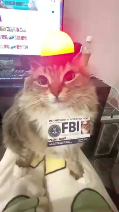 he will investigate