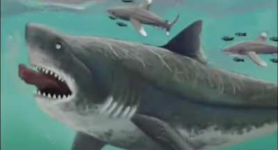 RAAAAAAAAAAAAAAA