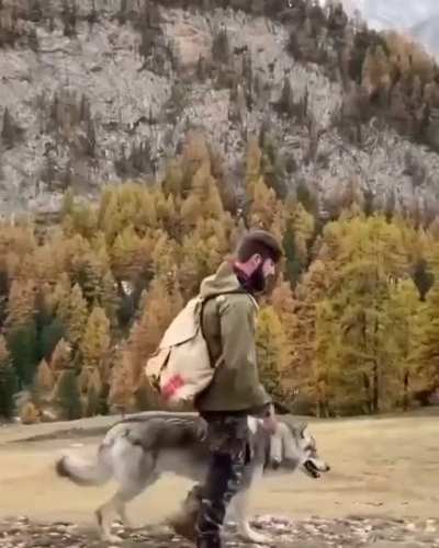 Приручил