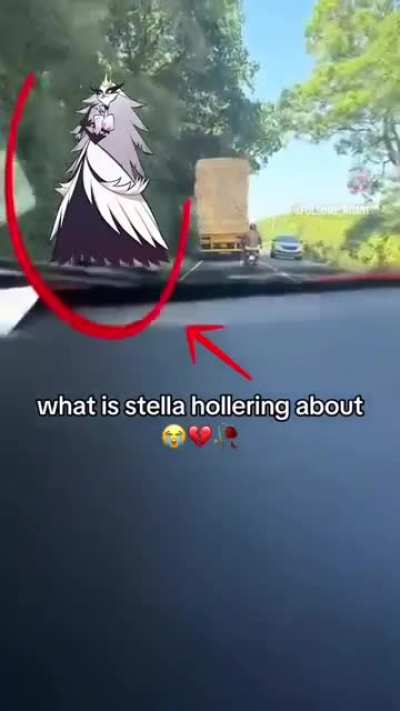 Stella&rsquo;s mad