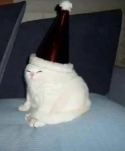 : &amp;gt; cat
