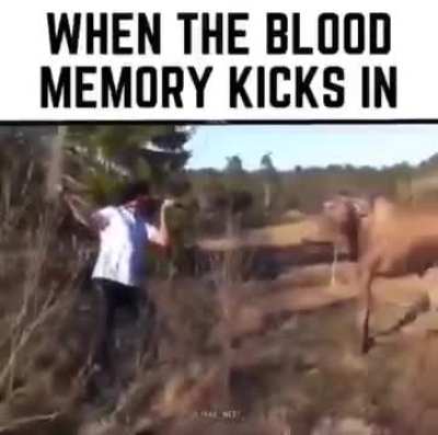 guh