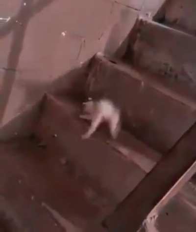 Why walk when you can fly
