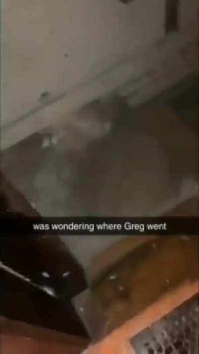 Greg