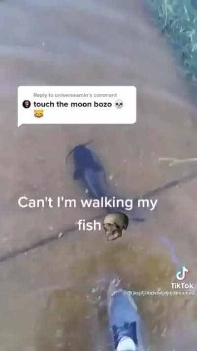 based🗿