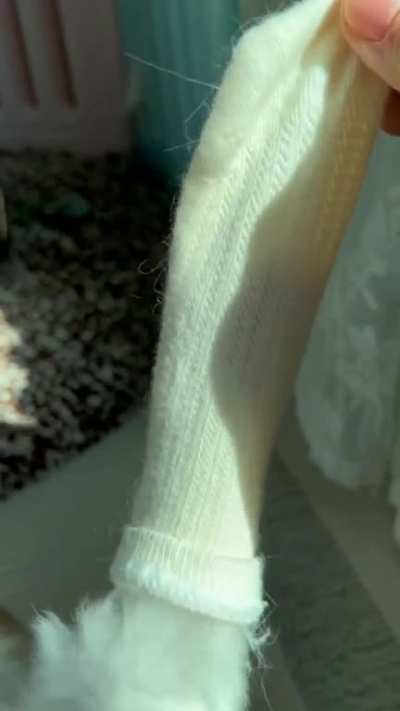 Cat's paw