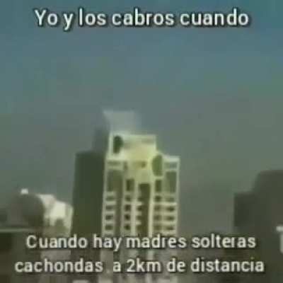 XD