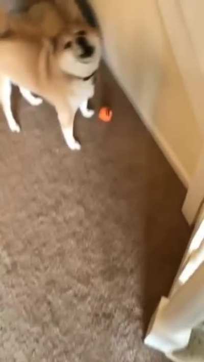 I think he likes it