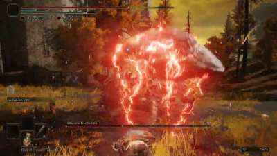 "Using magic, strength, dexterity, shield and pot builds make the game too easy!" Vigor users: