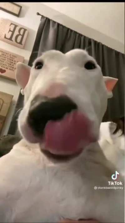 AwA .