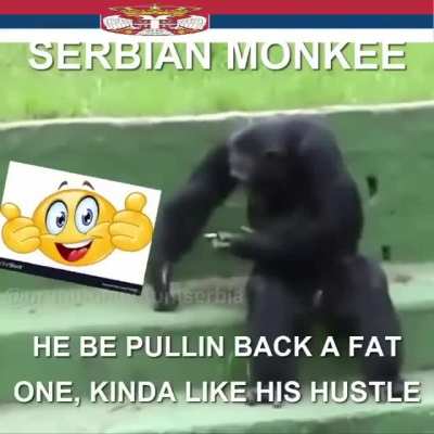 Choose your monke