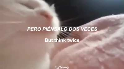 Copy(?