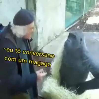 porra mamaco