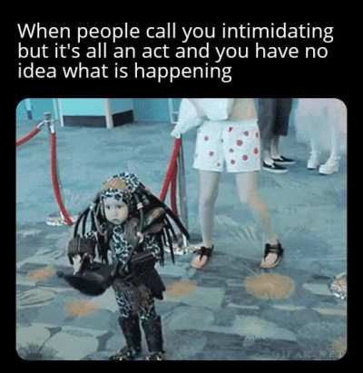 Meirl