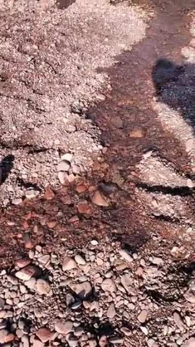 Stream to nowhere