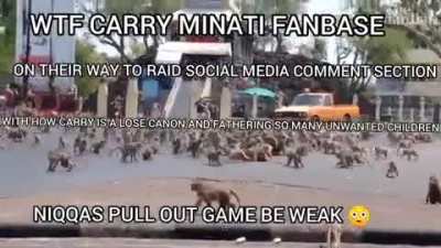 Carry minati baap hai baap (ノ｀Д&acute;)ノ彡┻━┻