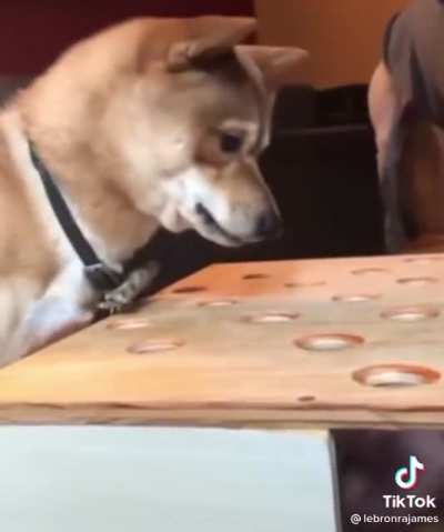 he just wants the glizz