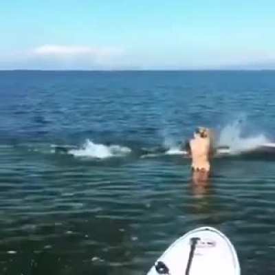 Палка ебать)))