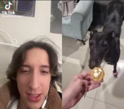 Why the long face?