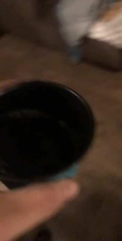 Found this old video on my phone and thought it would fit nicely here [OC]