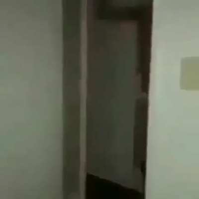Bonk
