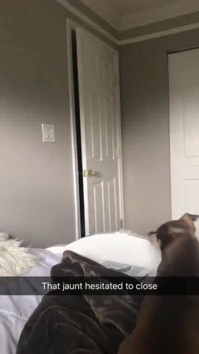 My cousins door closed by itself
