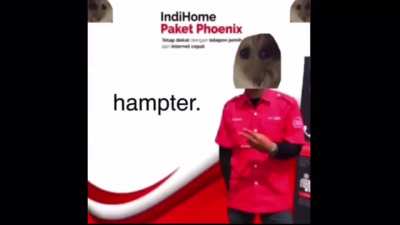 Hampter