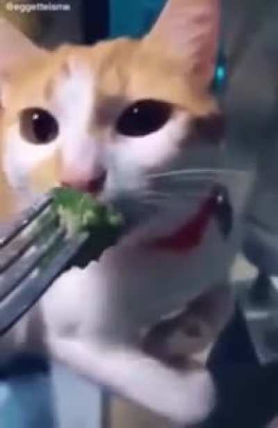 Hope this hasn&rsquo;t been posted before