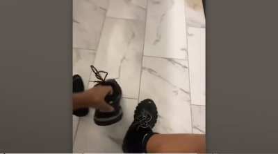 Where to get theese?