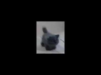 Shit