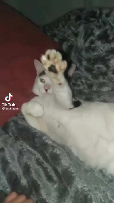 Kitler
